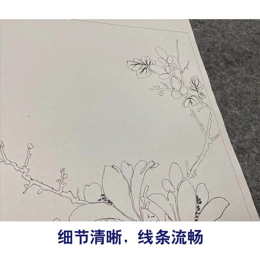吴玖工笔花鸟画白描底稿花卉图册小品一套七幅册页初学者尺寸37*40厘米MT16 商品图4