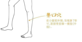 艾灸腿上的这个穴，可以解冻你的“肩周炎”！ 