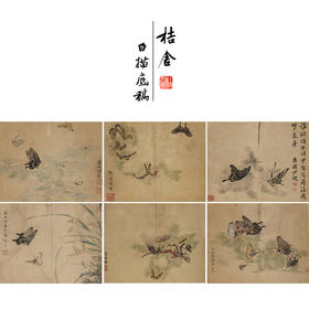 吴淑兰工笔花鸟画白描底稿蝴蝶草虫图册小品一套十二幅册页尺寸31*40厘米MT17