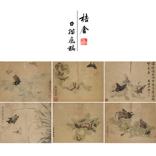 吴淑兰工笔花鸟画白描底稿蝴蝶草虫图册小品一套十二幅册页尺寸31*40厘米MT17 商品图0