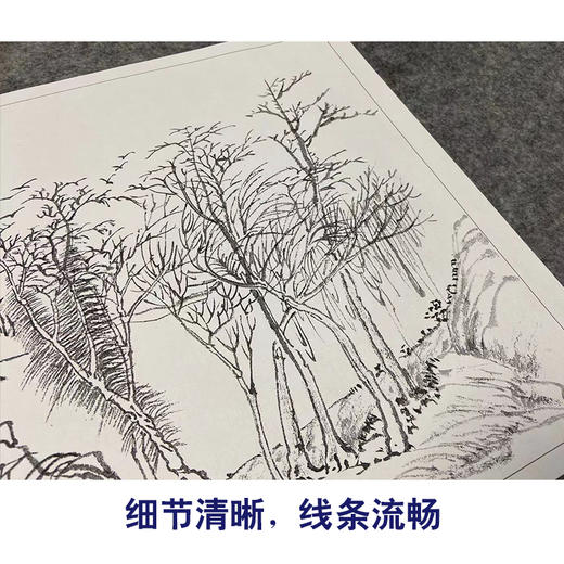 钱维城工笔画白描底稿山水花鸟册小品一套十二幅册页尺寸30*41厘米MT15 商品图4