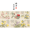 董诰工笔花鸟画白描底稿花卉册页小品一套十二幅册页初学者尺寸40*48厘米MT08 商品缩略图0