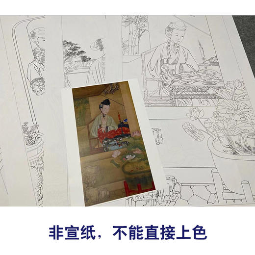 佚名工笔传统仕女人物画白描底稿正题书堂深居图一套十二幅册页尺寸50*95厘米MT21 商品图3