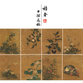 佚名工笔画白描底稿花鸟图册小品一套九幅册页初学者尺寸32*40厘米MT07