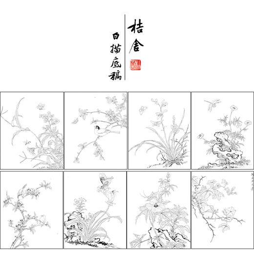 蒋廷锡工笔花鸟画白描底稿花卉虫草图册小品一套十二幅册页尺寸40*49厘米MT12 商品图1