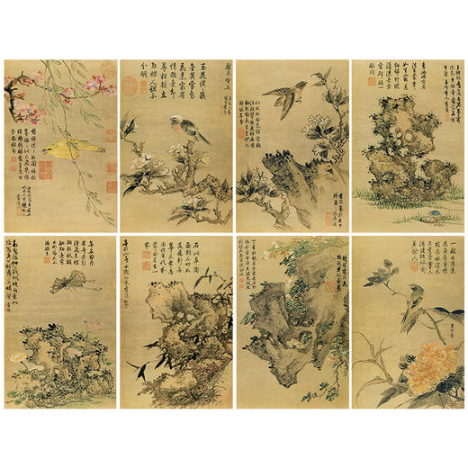 蓝瑛工笔画白描底稿花鸟图册小品一套十二幅册页尺寸30*46厘米MT04 商品图0