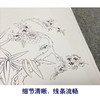 邹一桂工笔花鸟画白描底稿花卉图册小品一套八幅册页初学者尺寸30*37厘米MT23 商品缩略图4