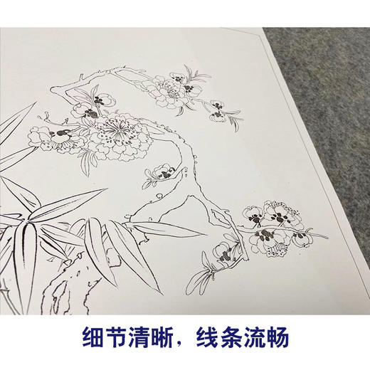 邹一桂工笔花鸟画白描底稿花卉图册小品一套八幅册页初学者尺寸30*37厘米MT23 商品图4