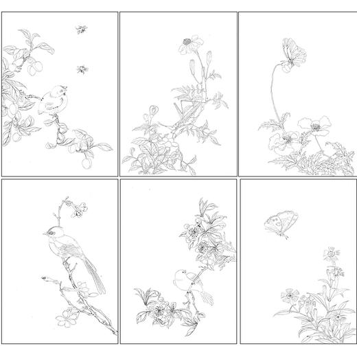 佚名工笔画白描底稿龙忻益斋花鸟画册小品一套七幅册页尺寸30*42厘米MT19 商品图1