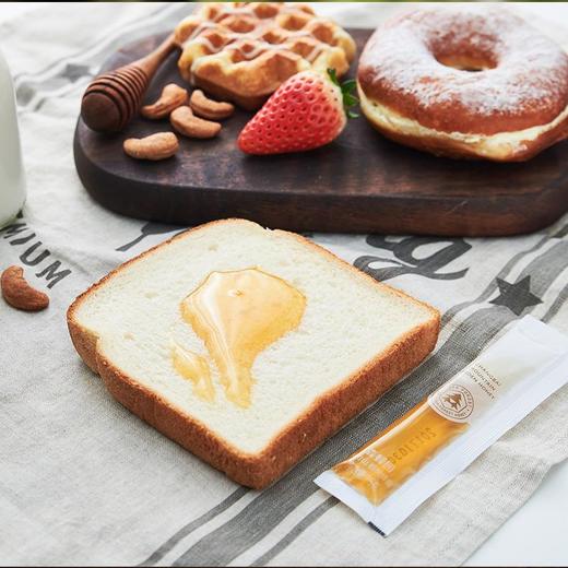 森蜂园-长白山椴树蜂蜜210g（金标） 商品图2