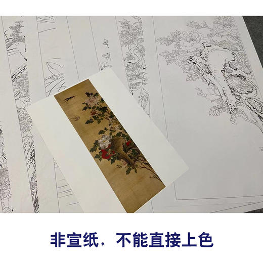 陈牧工笔画白描底稿四季花鸟图屏一套八幅册页尺寸41*138厘米MT24 商品图2
