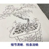 佚名工笔画白描底稿盆景花鸟草虫图小品一套三十幅册页尺寸35*43厘米MT20 商品缩略图4