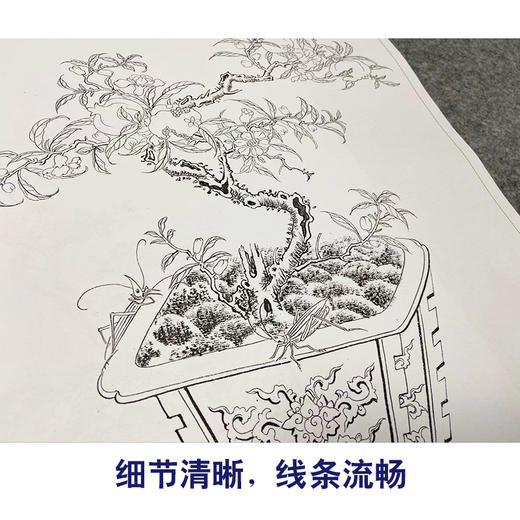 佚名工笔画白描底稿盆景花鸟草虫图小品一套三十幅册页尺寸35*43厘米MT20 商品图4