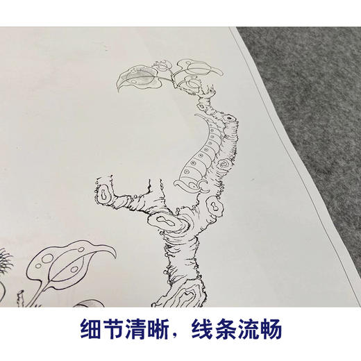 陈洪绶工笔画白描底稿花鸟精品册小品一套十幅册页尺寸34*42厘米MT02 商品图4