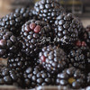 〔上海直发闪送包邮〕Driscolls红树莓/黑树莓（产地云南）只发上海 商品缩略图1