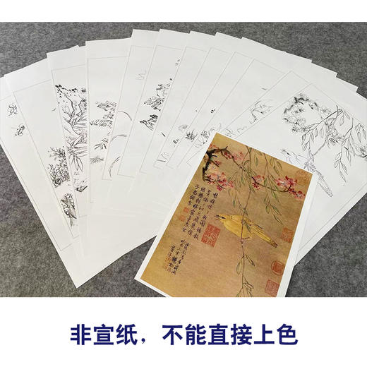 蓝瑛工笔画白描底稿花鸟图册小品一套十二幅册页尺寸30*46厘米MT04 商品图3
