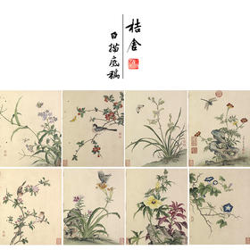 蒋廷锡工笔花鸟画白描底稿花卉虫草图册小品一套十二幅册页尺寸40*49厘米MT12
