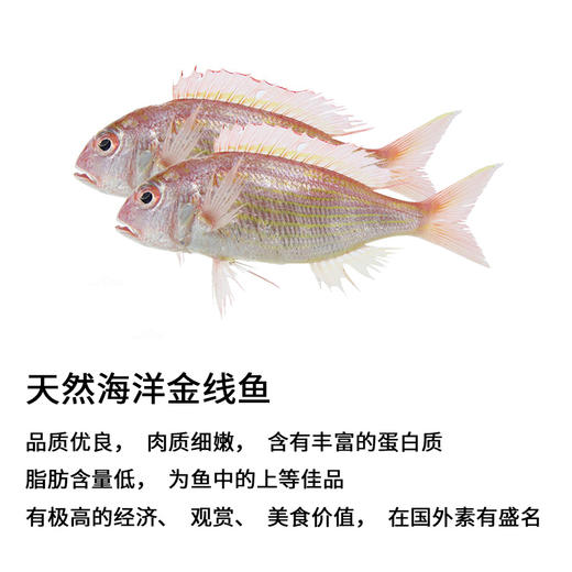 邵子牙竹轮卷关东煮鱼卷冷冻火锅麻辣烫食材鱼竹轮烧鱼糜制品190g 商品图2