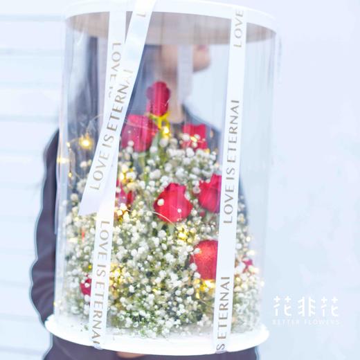 《漫天星辰》满天星红玫瑰透视花盒 商品图2