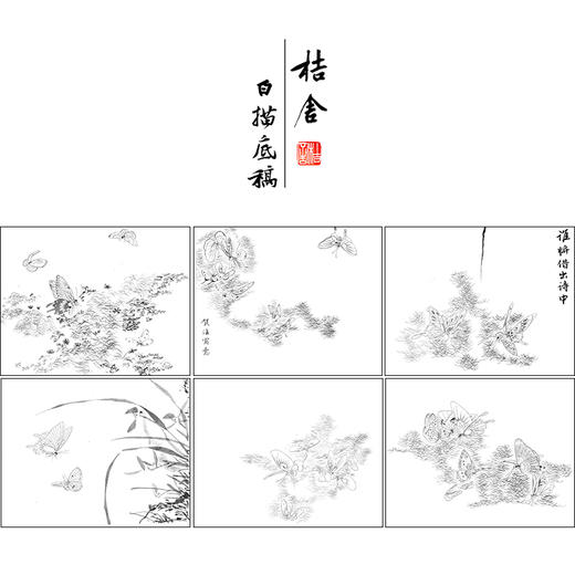 吴淑兰工笔花鸟画白描底稿蝴蝶草虫图册小品一套十二幅册页尺寸31*40厘米MT17 商品图1