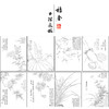 项圣谟工笔花鸟画白描底稿花卉十开图册小品一套十幅册页尺寸33*43厘米MT06 商品缩略图1