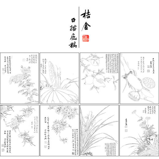 项圣谟工笔花鸟画白描底稿花卉十开图册小品一套十幅册页尺寸33*43厘米MT06 商品图1
