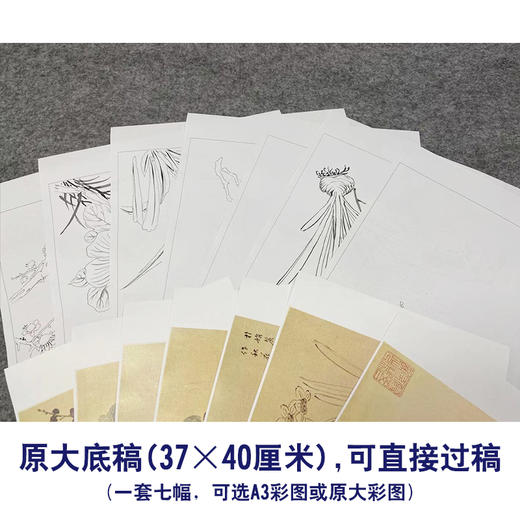 吴玖工笔花鸟画白描底稿花卉图册小品一套七幅册页初学者尺寸37*40厘米MT16 商品图2