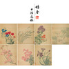 马元骏工笔花鸟画白描底稿花卉图册小品一套七幅册页初学者尺寸30*37厘米MT14 商品缩略图0