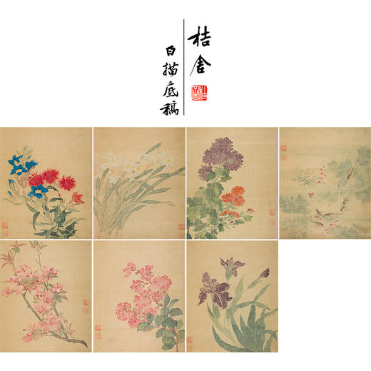 马元骏工笔花鸟画白描底稿花卉图册小品一套七幅册页初学者尺寸30*37厘米MT14 商品图0