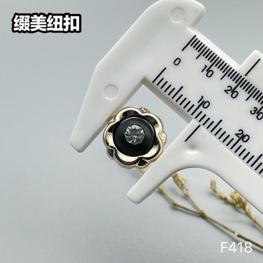 F418(整包购买) 商品图3