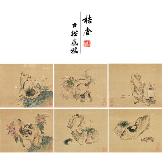 居廉工笔花鸟画白描底稿花卉奇石册小品一套十二幅册页尺寸30*36厘米MT13 商品图0