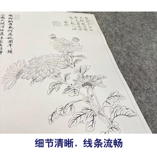 项圣谟工笔花鸟画白描底稿花卉十开图册小品一套十幅册页尺寸33*43厘米MT06 商品图4