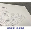 董诰工笔花鸟画白描底稿花卉册页小品一套十二幅册页初学者尺寸40*48厘米MT08 商品缩略图4