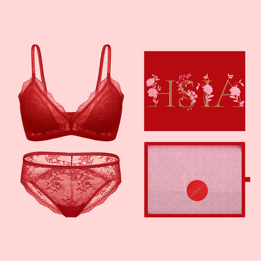 HSIA遐 法式蕾丝内衣女中小胸三角杯bra结婚婚纱款无钢圈性感文胸 商品图0