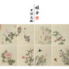 蒋廷锡工笔花鸟画白描底稿设色勾染图册小品一套十二幅册页尺寸30*36厘米MT11 商品缩略图0