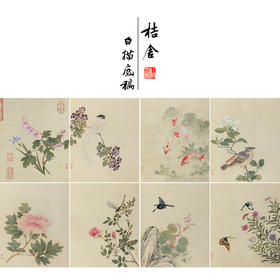 蒋廷锡工笔花鸟画白描底稿设色勾染图册小品一套十二幅册页尺寸30*36厘米MT11
