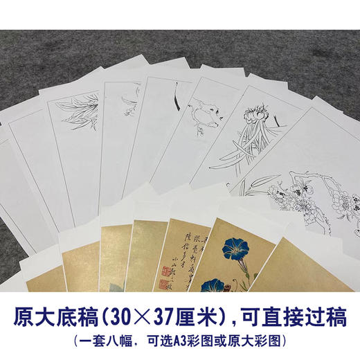 邹一桂工笔花鸟画白描底稿花卉图册小品一套八幅册页初学者尺寸30*37厘米MT23 商品图2
