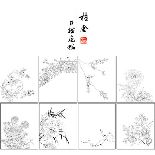 邹一桂工笔花鸟画白描底稿花卉图册小品一套八幅册页初学者尺寸30*37厘米MT23 商品图1