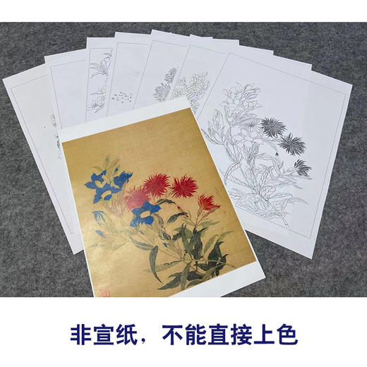 马元骏工笔花鸟画白描底稿花卉图册小品一套七幅册页初学者尺寸30*37厘米MT14 商品图3