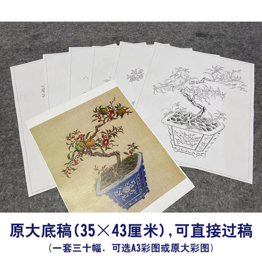 佚名工笔画白描底稿盆景花鸟草虫图小品一套三十幅册页尺寸35*43厘米MT20 商品图2