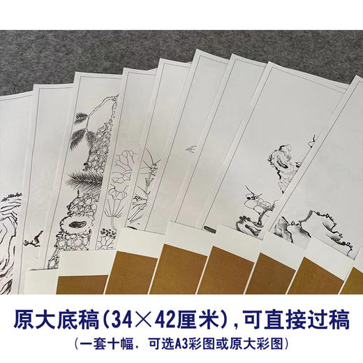 陈洪绶工笔画白描底稿花鸟精品册小品一套十幅册页尺寸34*42厘米MT02 商品图2