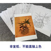 汪中工笔花鸟画白描底稿得趣在人小品一套十二幅册页初学者尺寸38*42厘米MT05 商品缩略图3