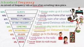 Adverbs of Frequency in English