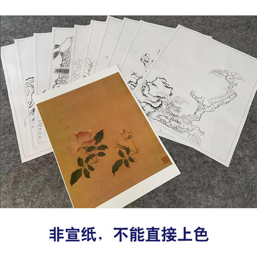 陈洪绶工笔画白描底稿花鸟精品册小品一套十幅册页尺寸34*42厘米MT02 商品图3