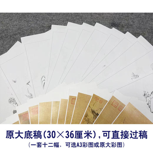 居廉工笔花鸟画白描底稿花卉奇石册小品一套十二幅册页尺寸30*36厘米MT13 商品图4
