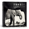 【后浪】摄影集套装 万物有灵+中国1980 2册 套装 商品缩略图1