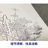余省工笔花鸟画白描底稿海西集卉册小品一套六幅册页初学者尺寸40*42厘米MT22 商品缩略图4