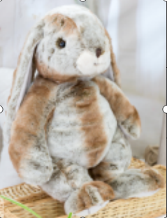 Gabriel罗宾逊 60cm