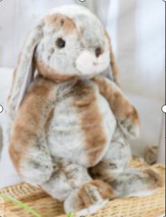 Gabriel罗宾逊 60cm 商品图0