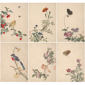 佚名工笔画白描底稿龙忻益斋花鸟画册小品一套七幅册页尺寸30*42厘米MT19